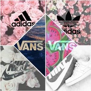 Meet your Posher, Susannah